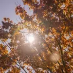 Sommerwetter im Herbst: Bekommen wir einen goldenen Oktober?