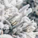 Weihnachten, Schnee, Heiligabend, Winter
