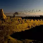 Vögel fliegen über einer Sandburg 