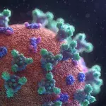 Kommt das Coronavirus aus dem Labor oder vom Markt in Wuhan?