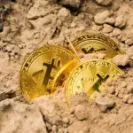 Kryptowährungen schwanken stark im Kurs