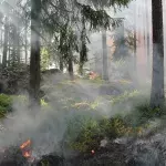 Waldbrand