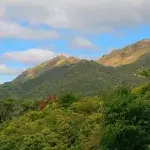 Lucon: Diese philippinische Insel beheimatet über 50 einmalige Arten