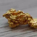 Bakterium kann Metall in Gold verwandeln