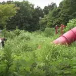 Fukushima: 6 Jahre nach der Katastrophe wagt sich ein Fotograf in die Sperrzone