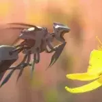 US-Konzern Walmart geht den Bienen mit einer umstrittenen Technologie an den Kragen
