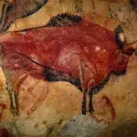 9000 Jahre alter, perfekt erhaltener Bison in Sibirien versetzt Archäolog:innen in Staunen