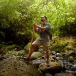 Bach auf Hawaii riecht nach Bier