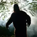 Bigfoot erscheint wieder auf der Bildoberfläche