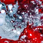 Blut auf Schnee