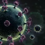 Bretonische Corona-Variante kann angeblich PCR-Test umgehen 