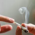 Cannabis