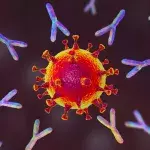 Corona dürfte sich an unserem Immunsystem sogar stärken