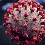 Coronavirus: Unerwartete Schwachstelle könnte ein Medikament ermöglichen