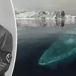 Taucher entdecken einen Nazi-Schatz auf dem Grund des Ozeans