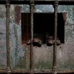 Buenos Aires: Der Zoo ist seit einem Jahr geschlossen, doch viele Tiere sind noch in ihren Käfigen