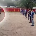 Diese Studenten setzen sich gemeinsam der Gefahr eines Stieres in der Arena aus, um eine Sache zu beweisen (Video)