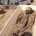 Neues Vampir-Skelett in Polen entdeckt