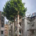 Wenn die Natur ein Stück der Zivilisation zurückgewinnt