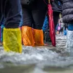 Die Überschwemmungen haben große Teile Deutschlands verwüstet
