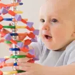 DNA gibt Aufschluss über unsere Lebenserwartung