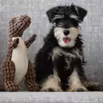 Ein Plüsch-Dino sitzt mit einem Hundewelpen auf einer Couch