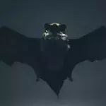 Eine Fledermaus im Flug