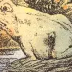 Froschbild