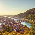 Gefährliches Insekt in Süddeutschland