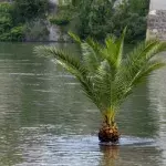 Hochwasser kann lebensgefährlich sein