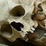 Kannibalismus