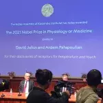 Medizin-Nobelpreis: Für diese bahnbrechenden Entdeckungen wurden die Forscher ausgezeichnet