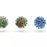 Neues Virus entdeckt
