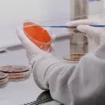 Petrischale