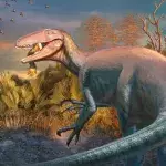 Reconstruction artistique d'un "Joaquinraptor casali".