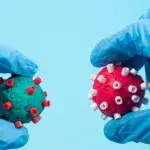 Scientists with surgical gloves holds two different Coronavirus of different color in the hand