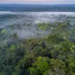 Von wegen unbewohnt: Eine Million Menschen im Amazonasbecken?