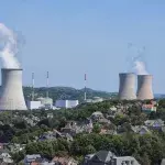 "Wir haben die Hypothese aufgestellt" – das Geheimnis der Fukushima-Schweine entschlüsselt
