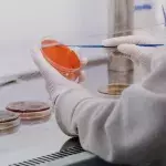Wissenschaftler entdecken entzündliches Protein