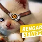 League of Legends: Riot erwägt mehrere Nerfs für Rengar auf dem kommenden Patch
