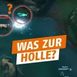 League of Legends: Riot sollte die Hitbox von Fizz korrigieren