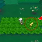 Pokémon Sonne und Mond: Fans haben Lauf-Animationen für alle Pokémon entdeckt