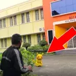 Er möchte Pikachu fangen, aber es passiert eine Katastrophe!