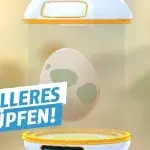 Pokémon GO: Dank des Updates können eure Eier nun schneller schlüpfen