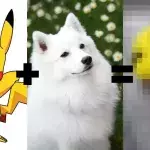 Pokémon GO: Er verwandelt seinen Hund in Pikachu und wird hart kritisiert
