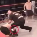 Kämpfer grappelt mit dem Kampfrichter