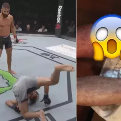 Jeremy Stephens zerstört das Bein von Gilbert Melendez