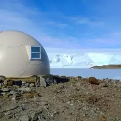 Exotisches Urlaubsziel: In diesem Hotel sind Pinguine deine Nachbarn