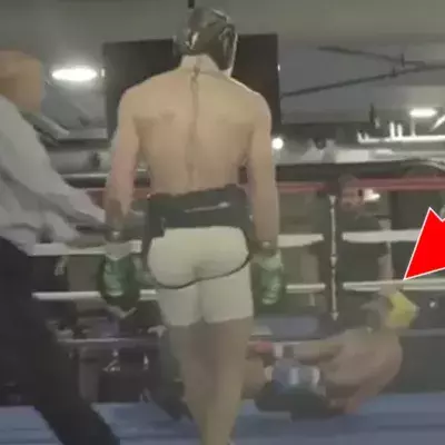 Dana White veröffentlicht Video: Conor McGregor schlägt Paulie Malignaggi K. o.