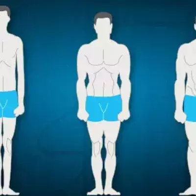 So passt du dein Training an deine Morphologie perfekt an!